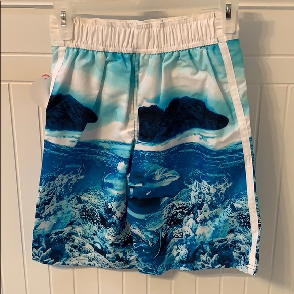 Swim Trunks / Shorts - Lined - Boys NEW - Picture 2 of 8